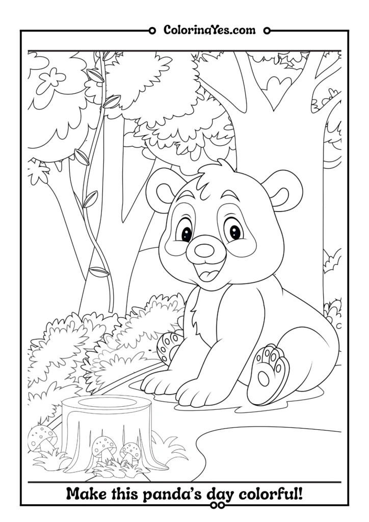 The Panda Picnic Party