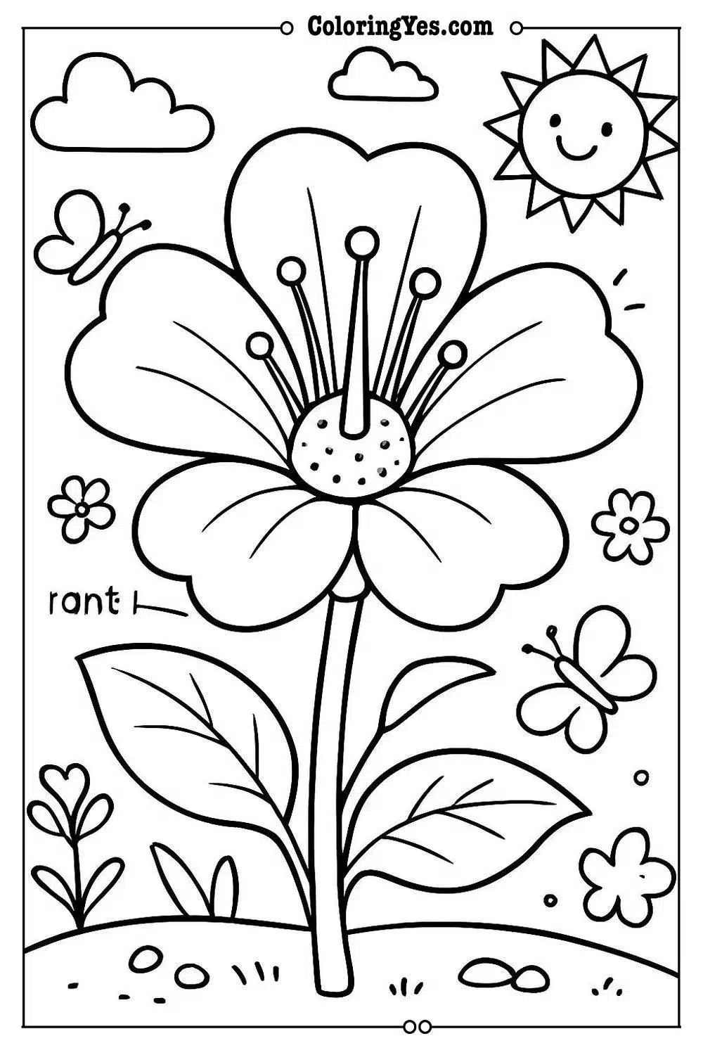 Anatomy of a flower scientific coloring pages-anatomy-Coloringyes.com