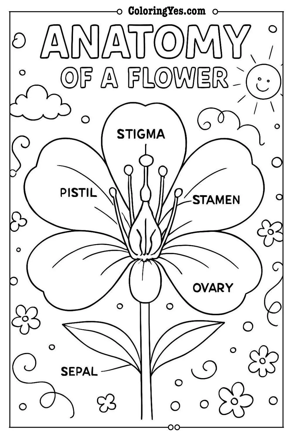 Anatomy of a flower scientific coloring pages-biology-Coloringyes.com