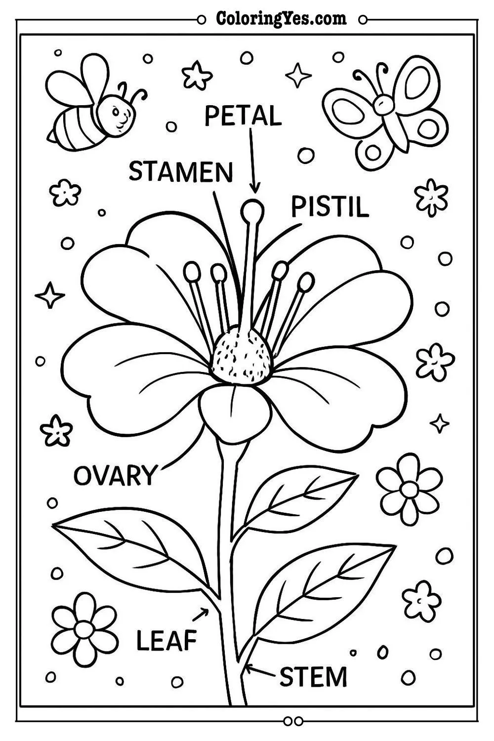 Anatomy of a flower scientific coloring pages-botanical-Coloringyes.com