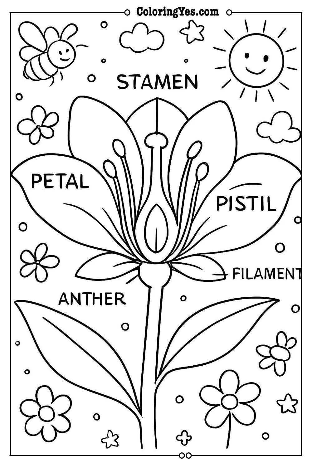 Anatomy of a flower scientific coloring pages-dissection-Coloringyes.com