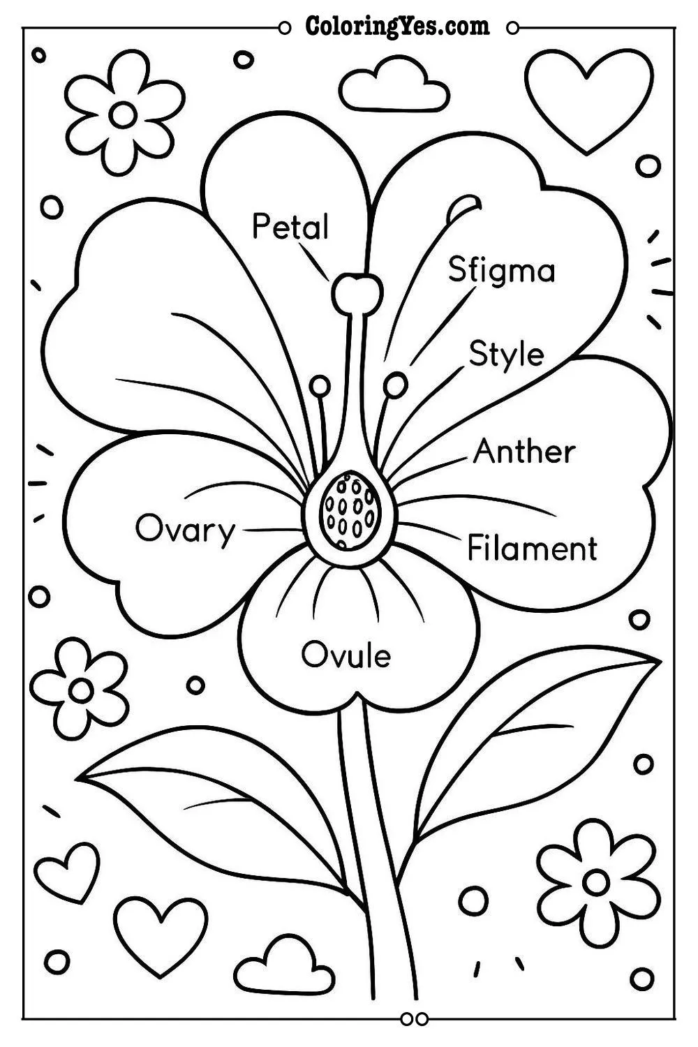 Anatomy of a flower scientific coloring pages-educational-Coloringyes.com