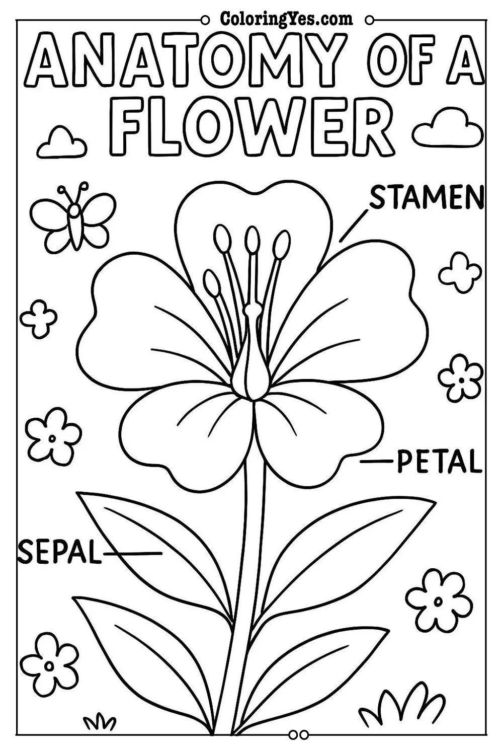 Anatomy of a flower scientific coloring pages-labeled-Coloringyes.com
