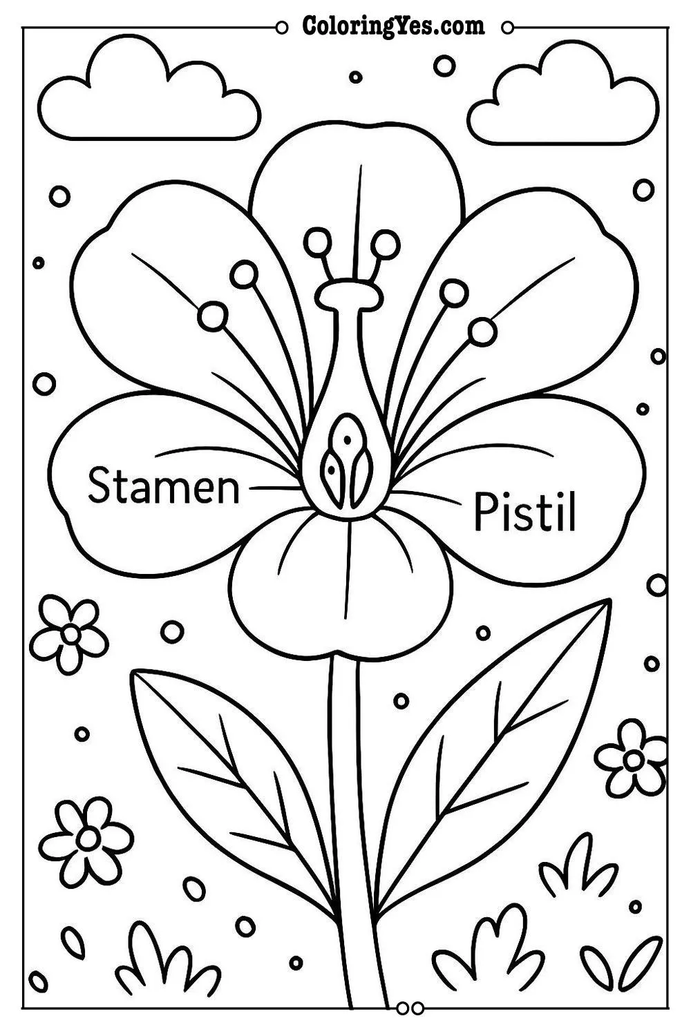 Anatomy of a flower scientific coloring pages-reproductive-Coloringyes.com
