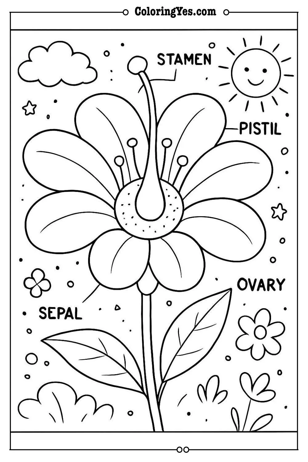 Anatomy of a flower scientific coloring pages-structure-Coloringyes.com