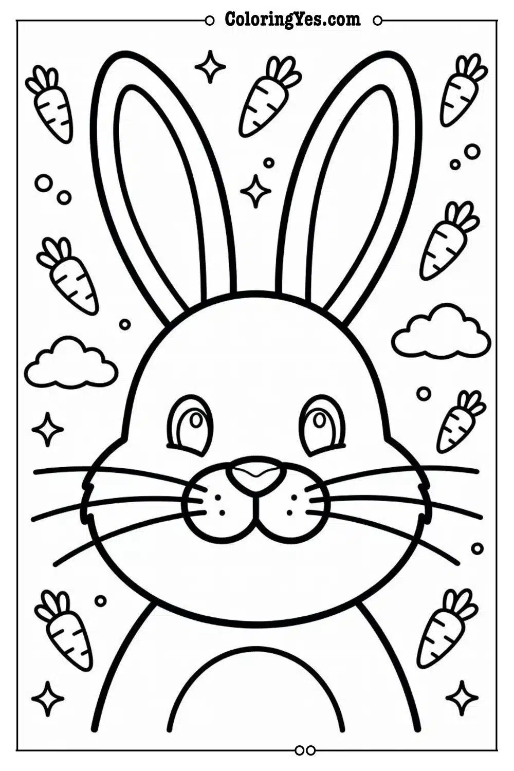 bunny nose twitching whiskers