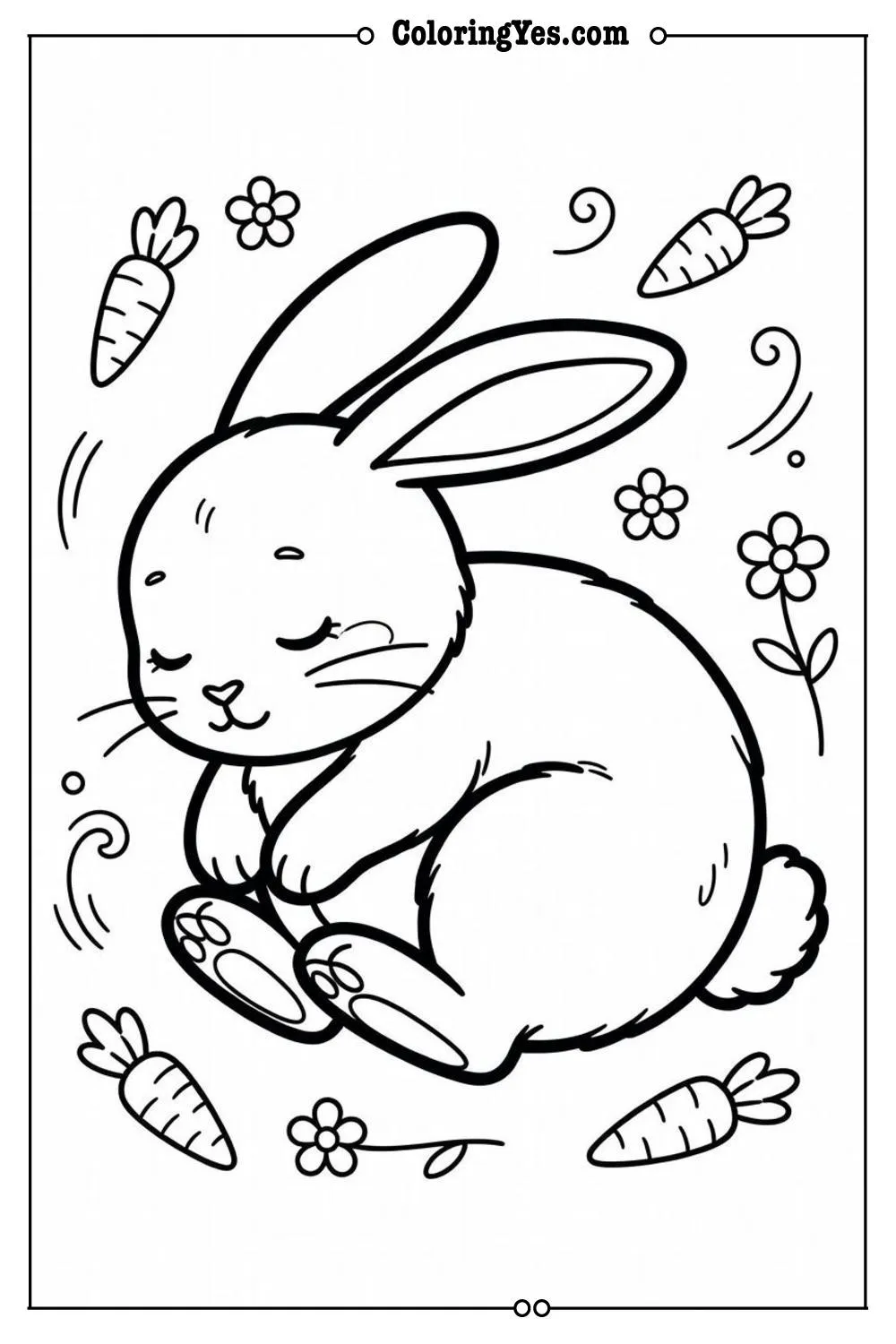 bunny sleeping curled up
