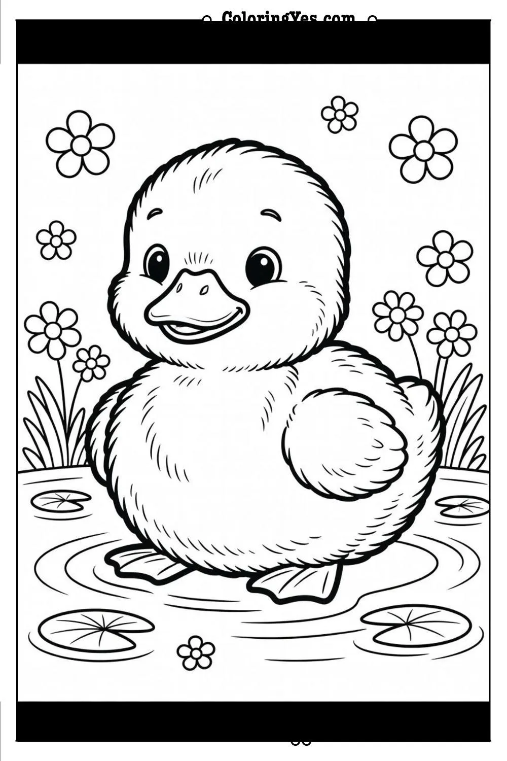 cute baby duckling fluffy