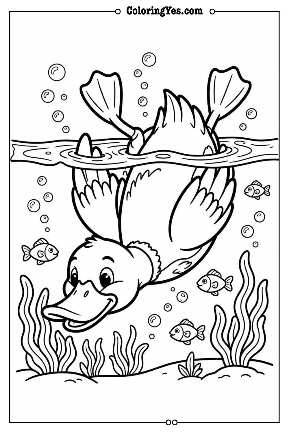 duck diving underwater tail