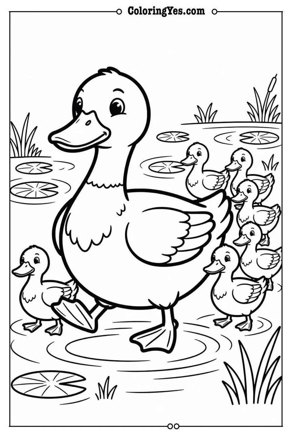 duck family waddle walking