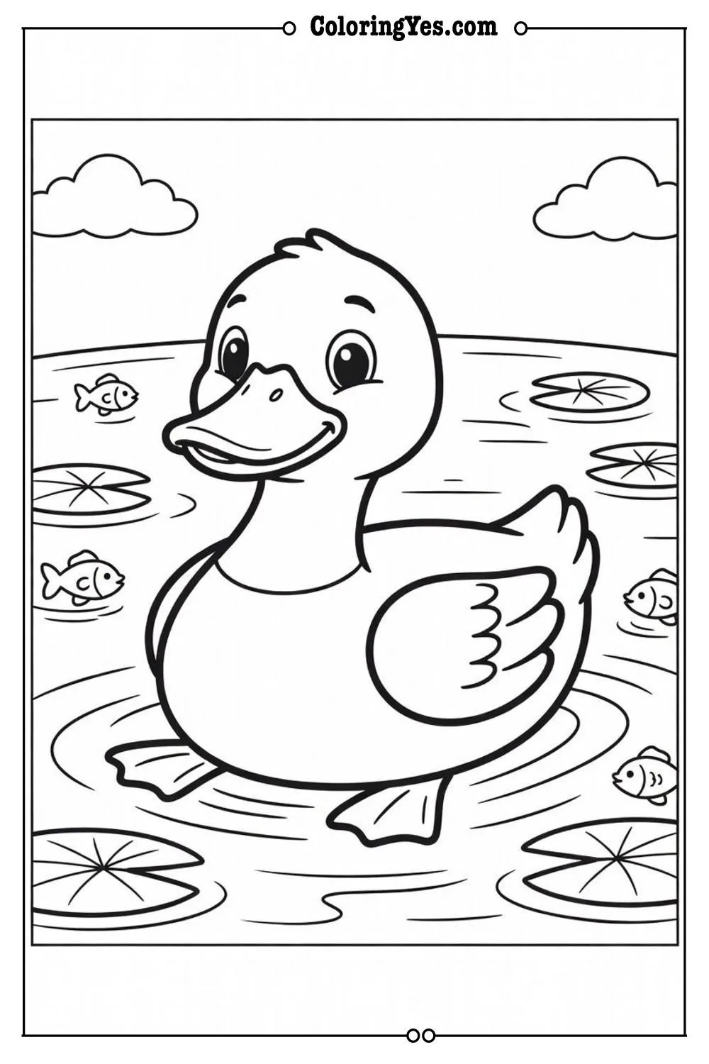 duck swimming in pond