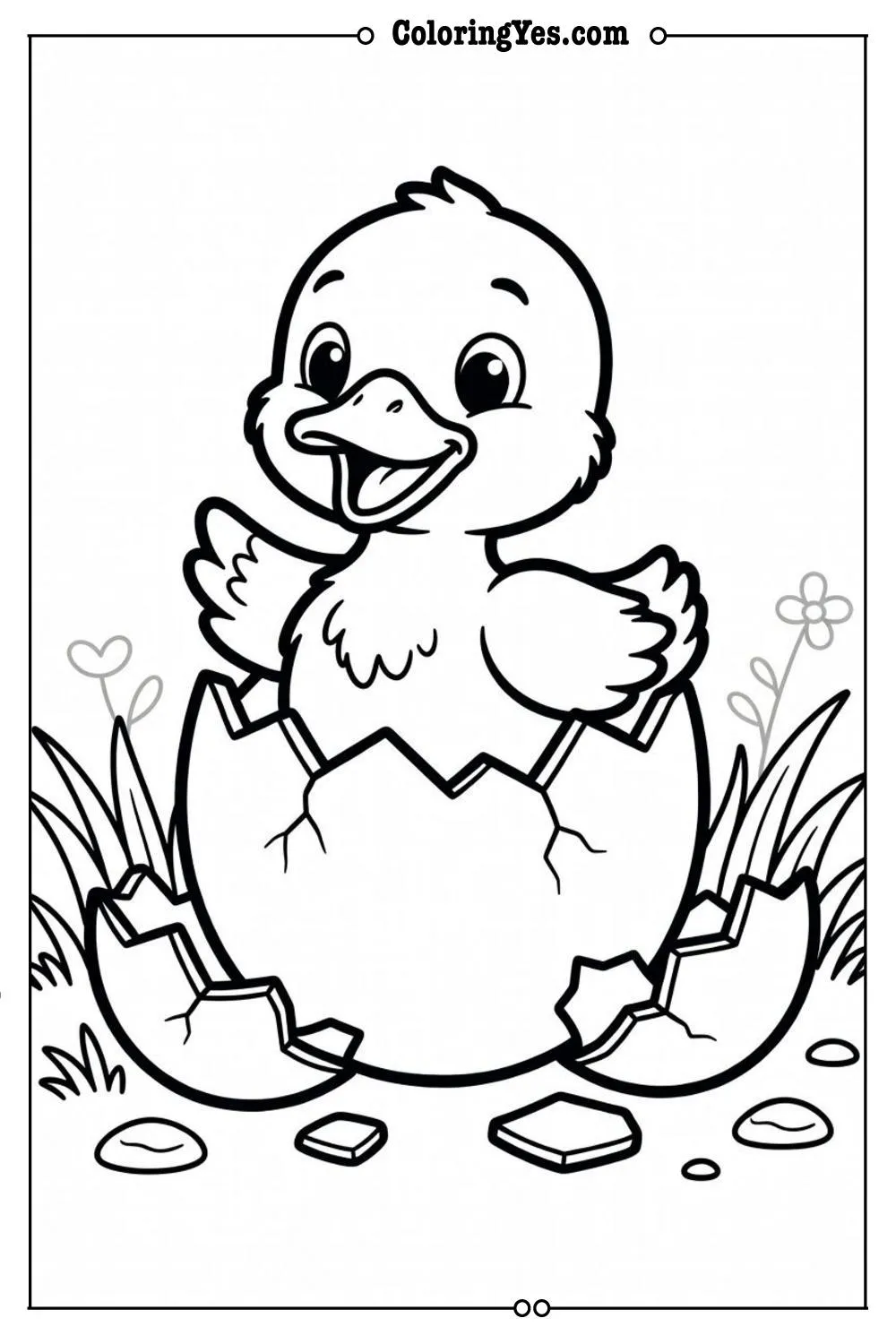 duckling hatching from egg