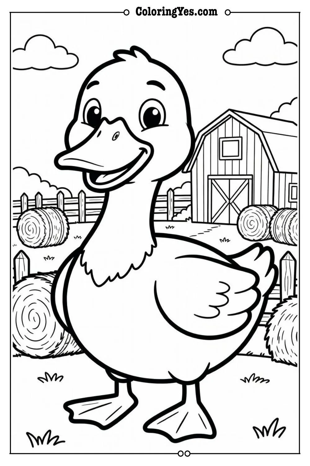 farm duck in barnyard