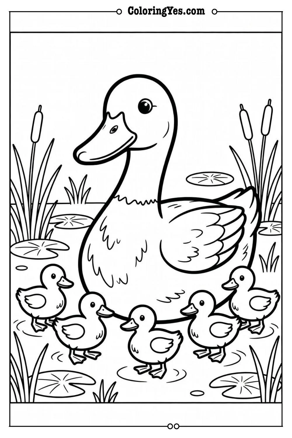 mother duck with ducklings