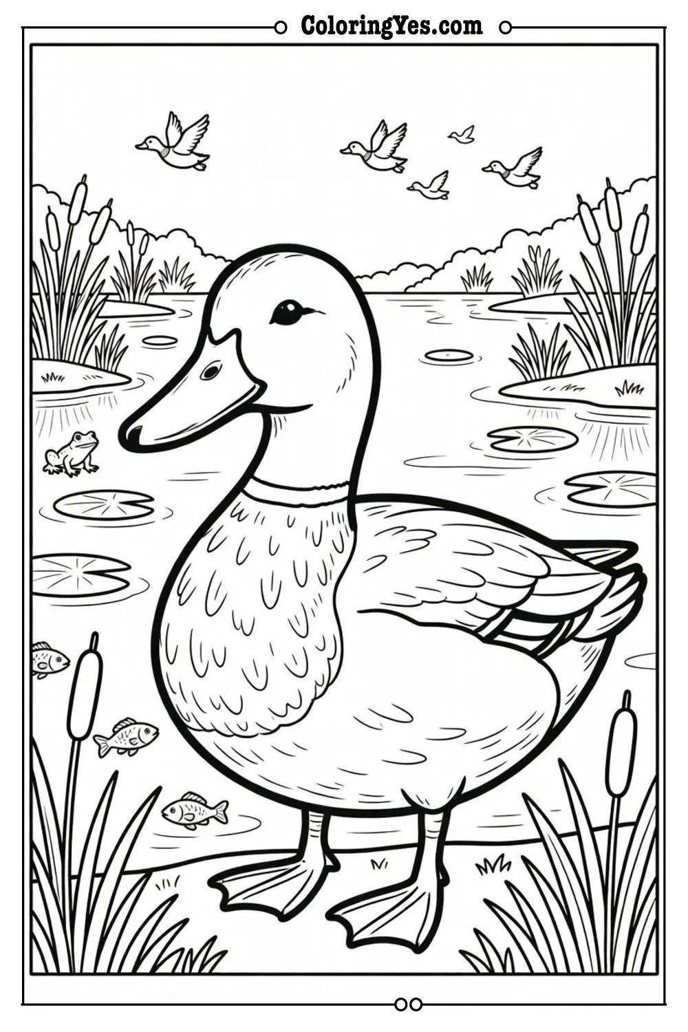 wild duck lake scene