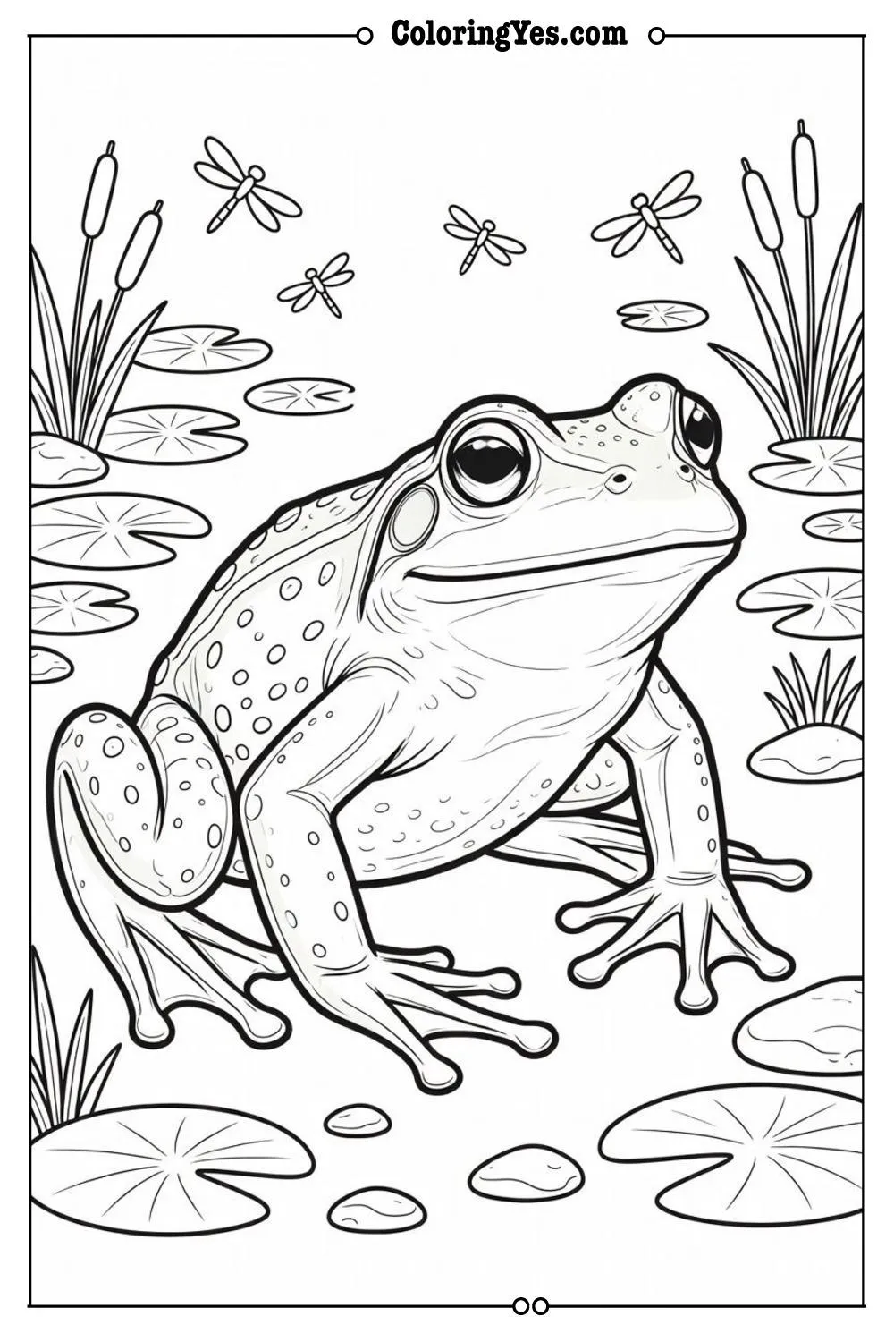 realistic frog coloring page detailed line art