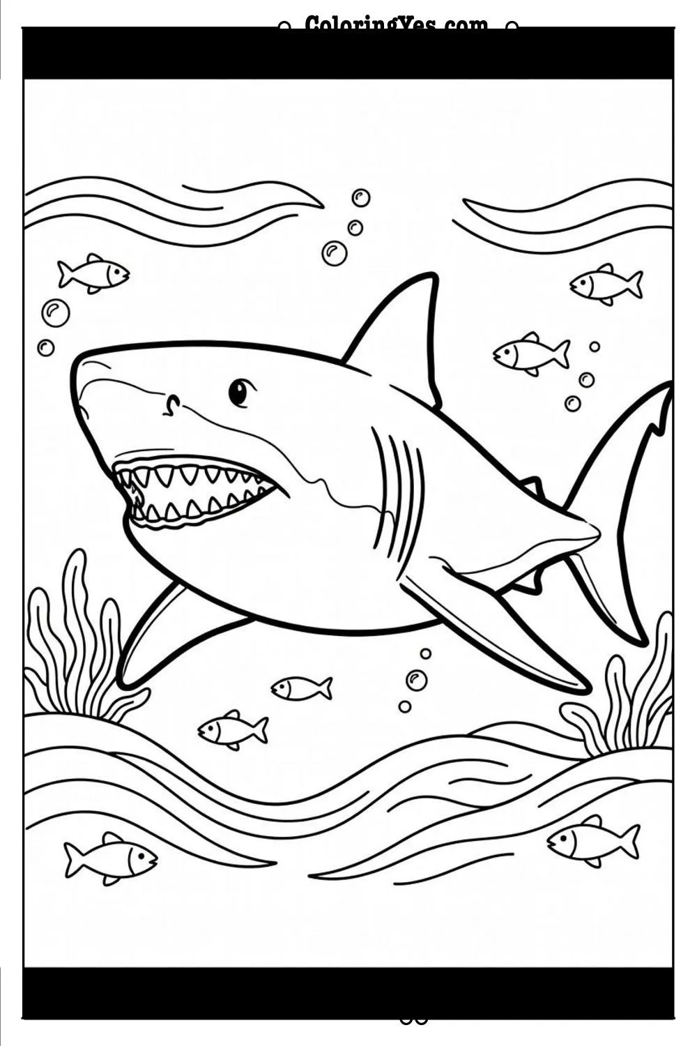 great white shark swimming ocean
