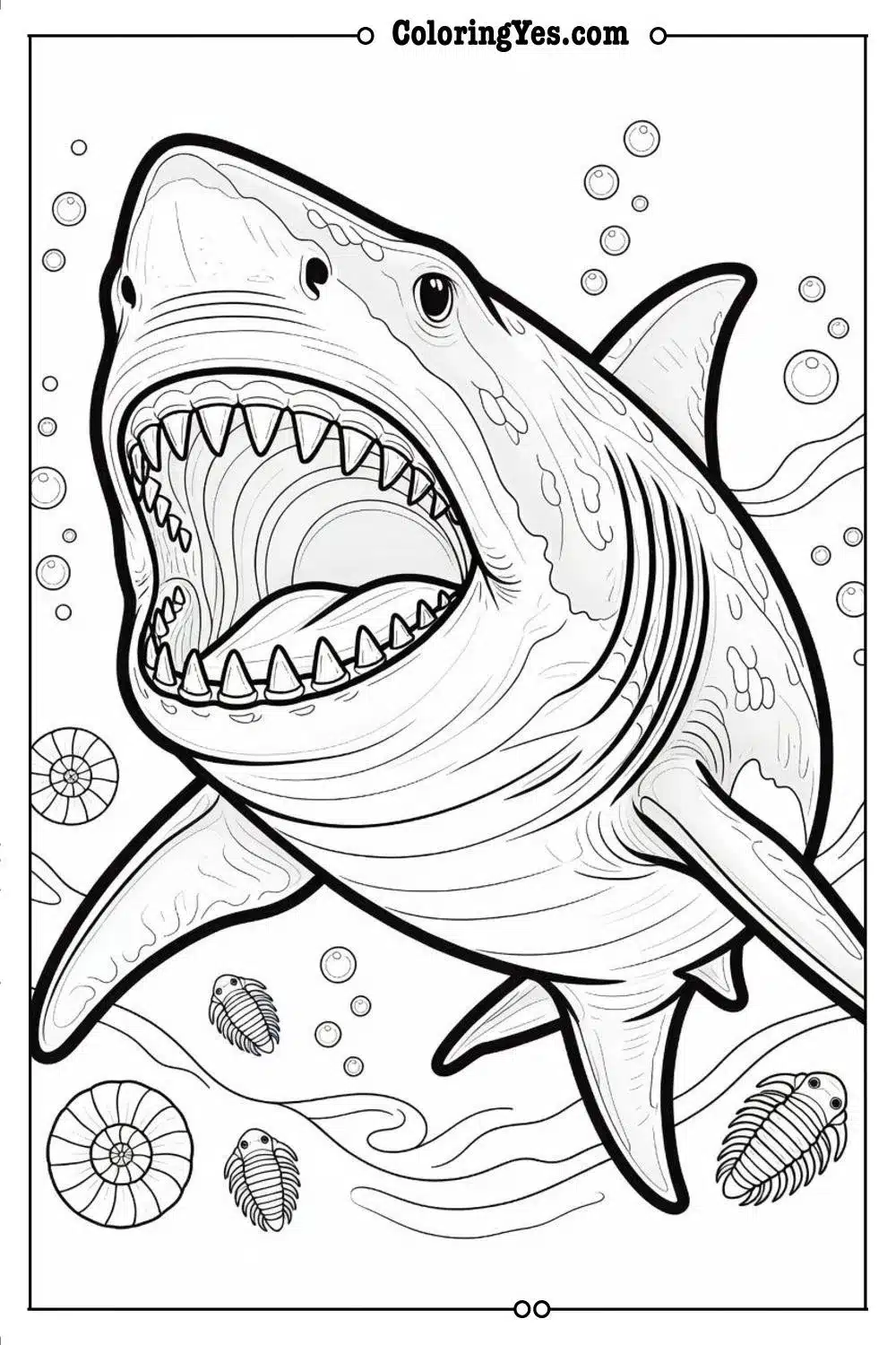 megalodon prehistoric giant shark