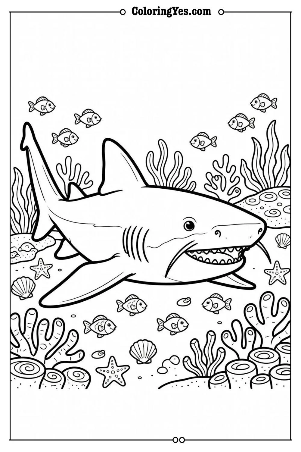 nurse shark ocean floor
