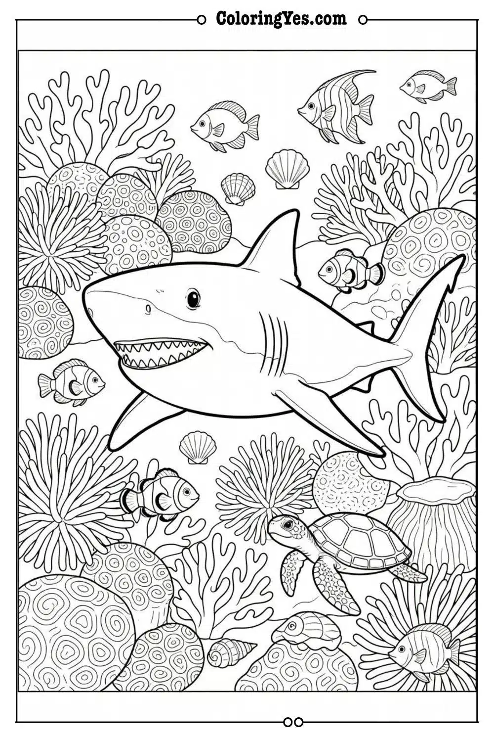 shark coral reef habitat