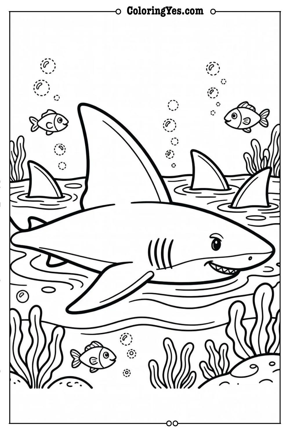 shark fins above water