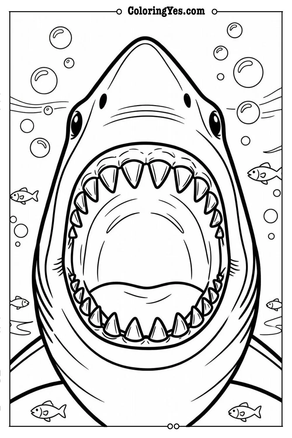 shark teeth close up detail