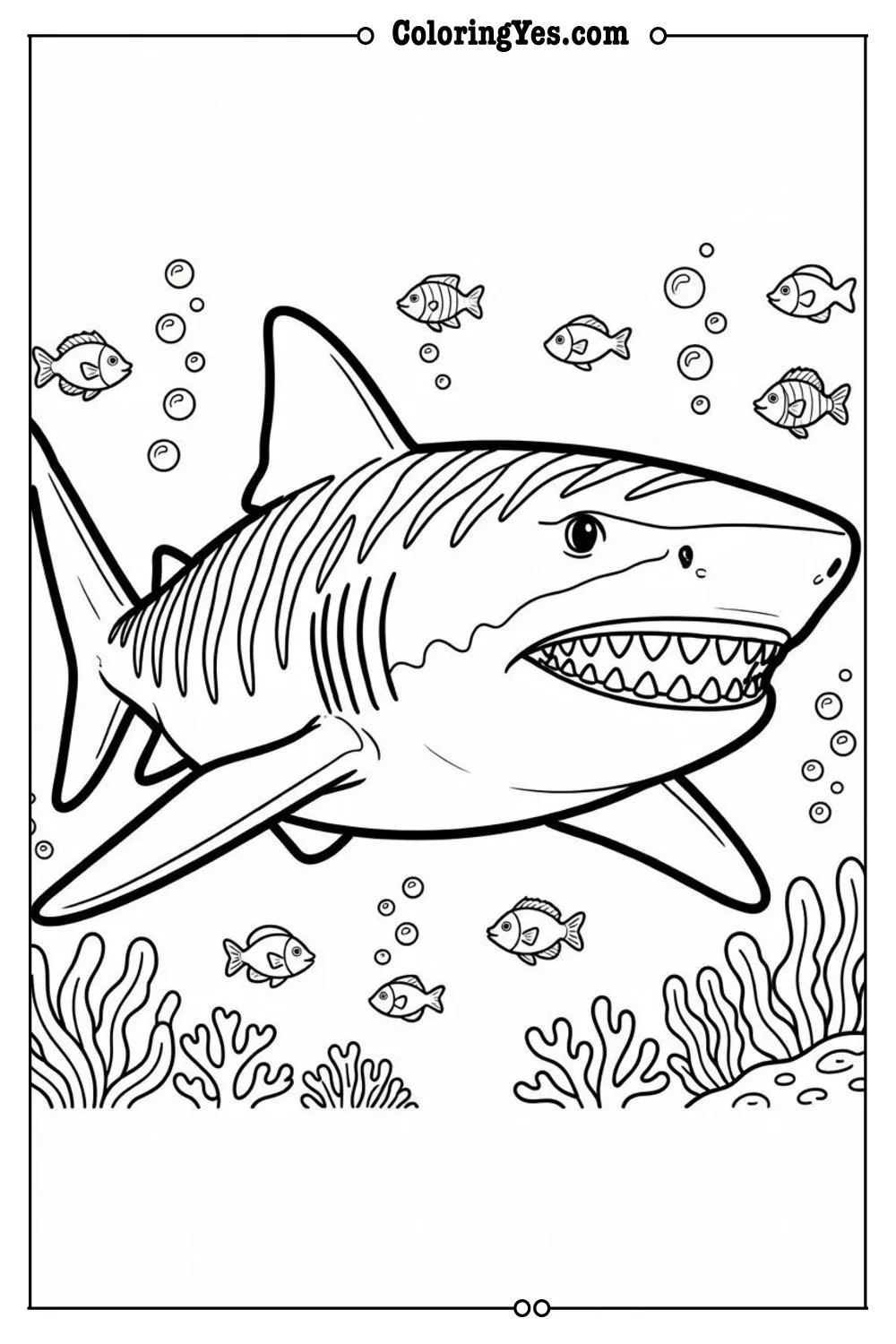 tiger shark stripes body