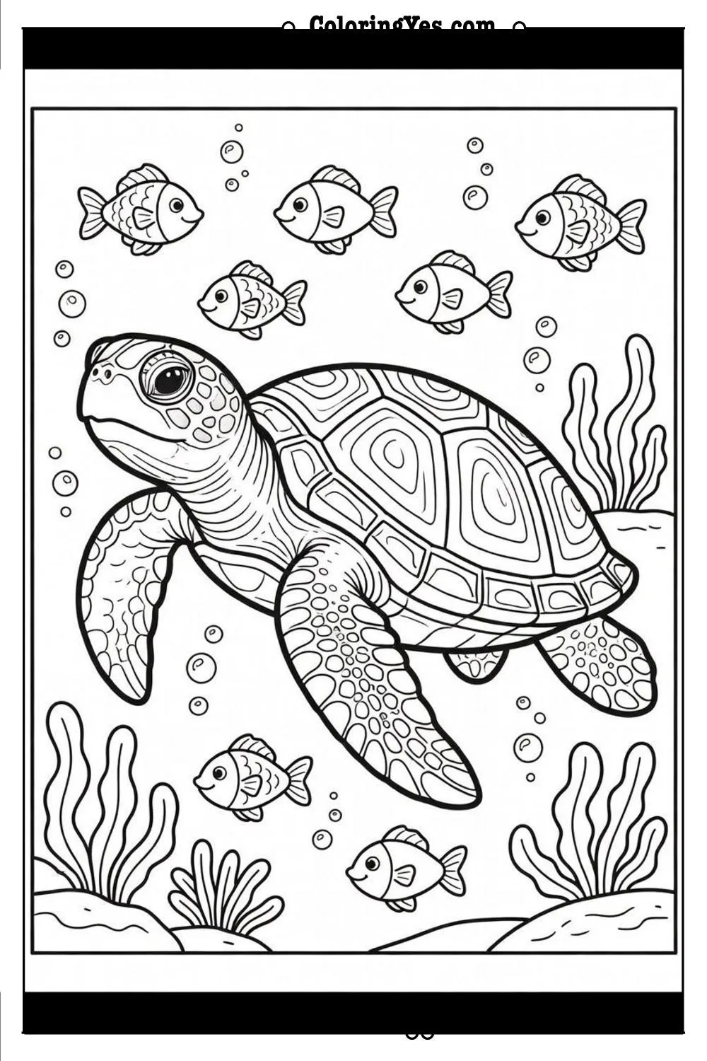 turtle coloring page printable