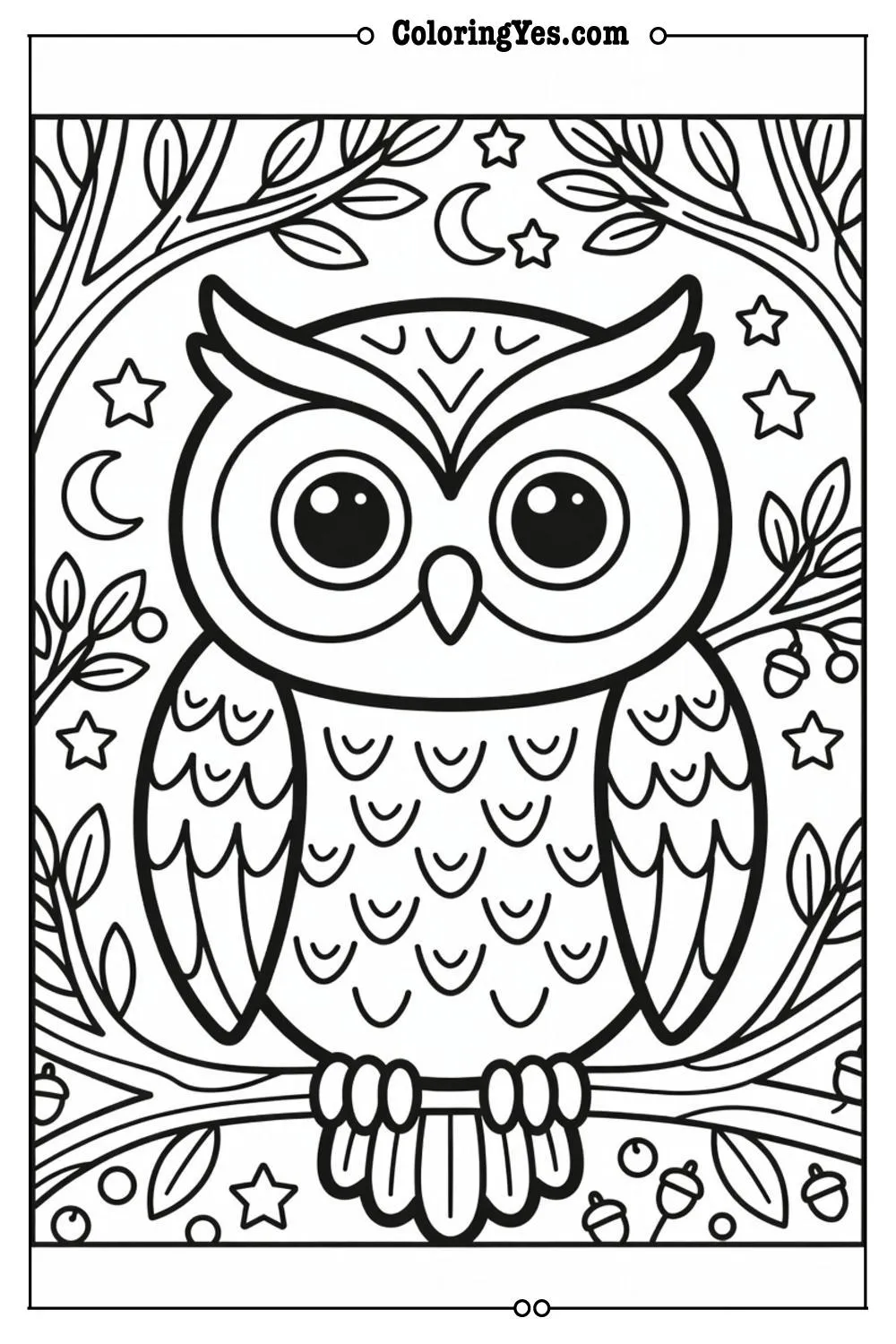 owl outline coloring pages